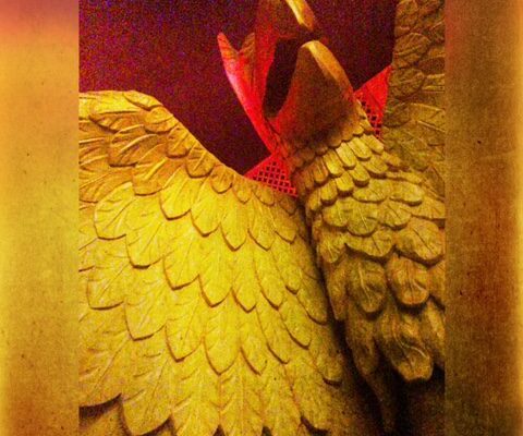 Processed with Rookie Cam